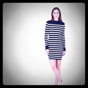 Everlane Breton Ribbed Cotton Sweater Dress